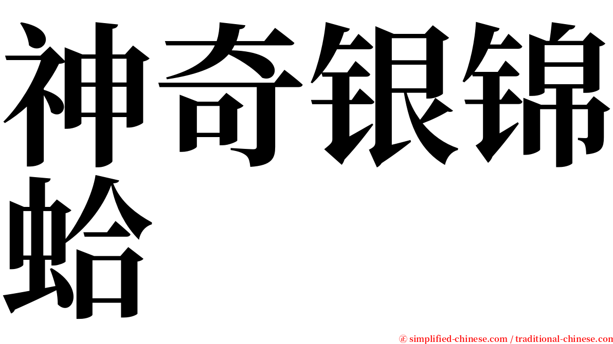 神奇银锦蛤 serif font