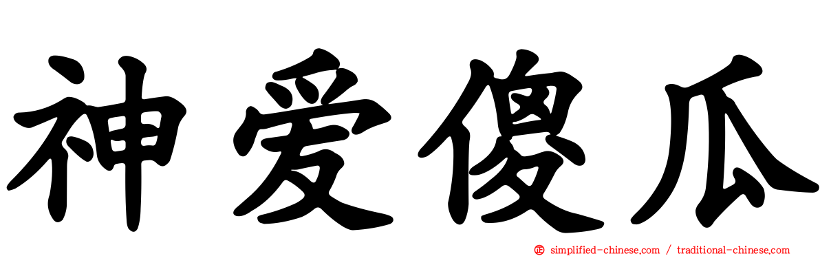 神爱傻瓜