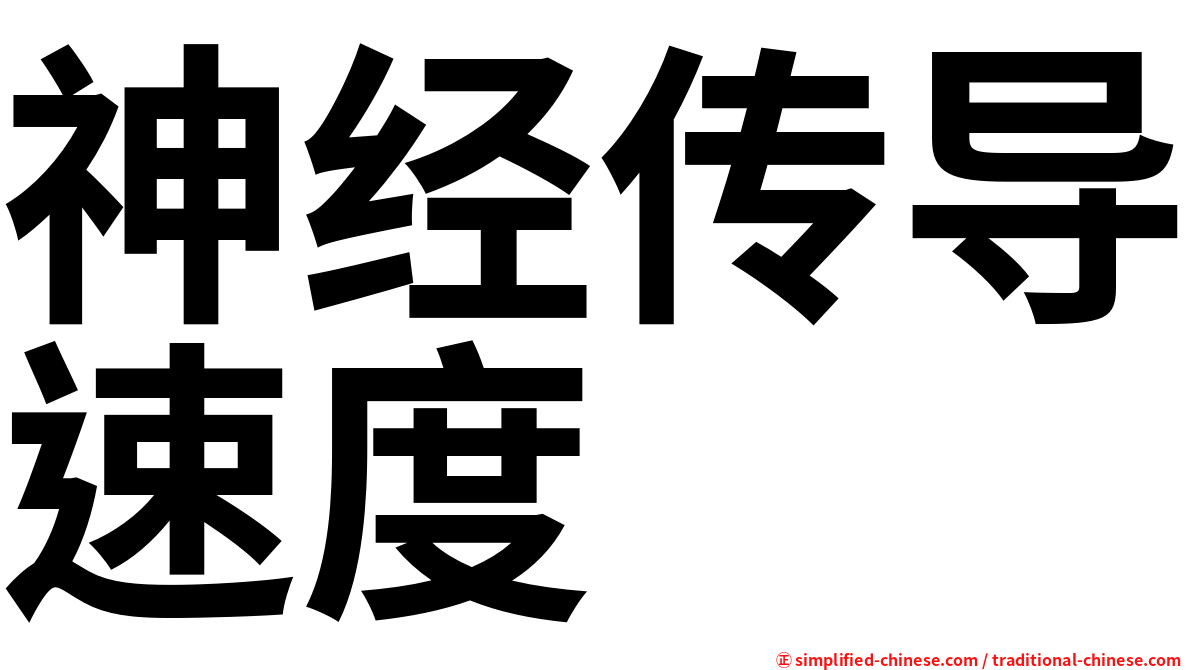 神经传导速度