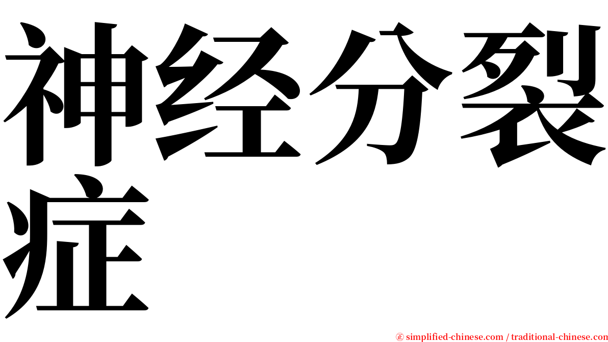 神经分裂症 serif font