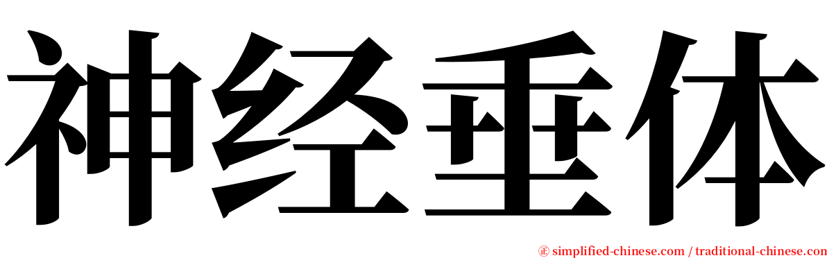 神经垂体 serif font