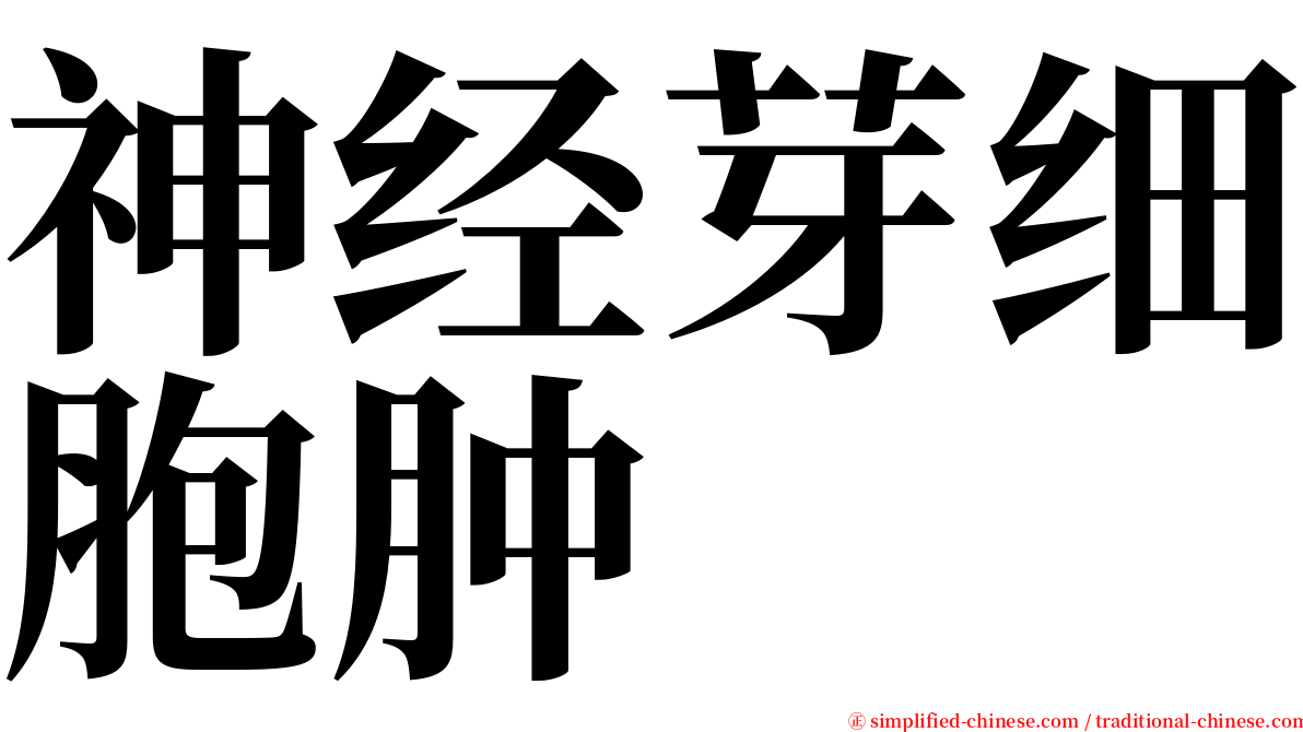 神经芽细胞肿 serif font