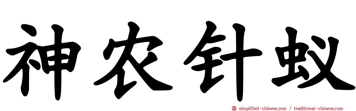 神农针蚁