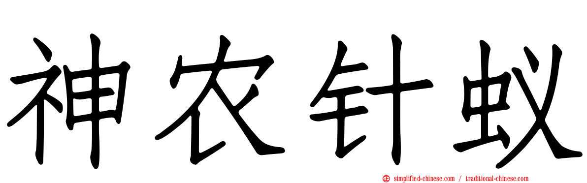 神农针蚁