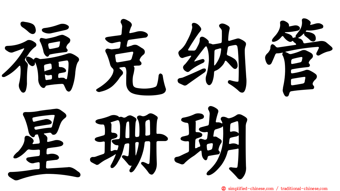 福克纳管星珊瑚