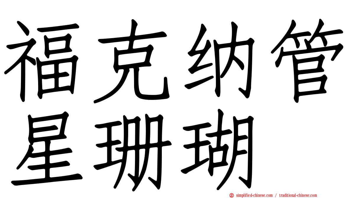 福克纳管星珊瑚
