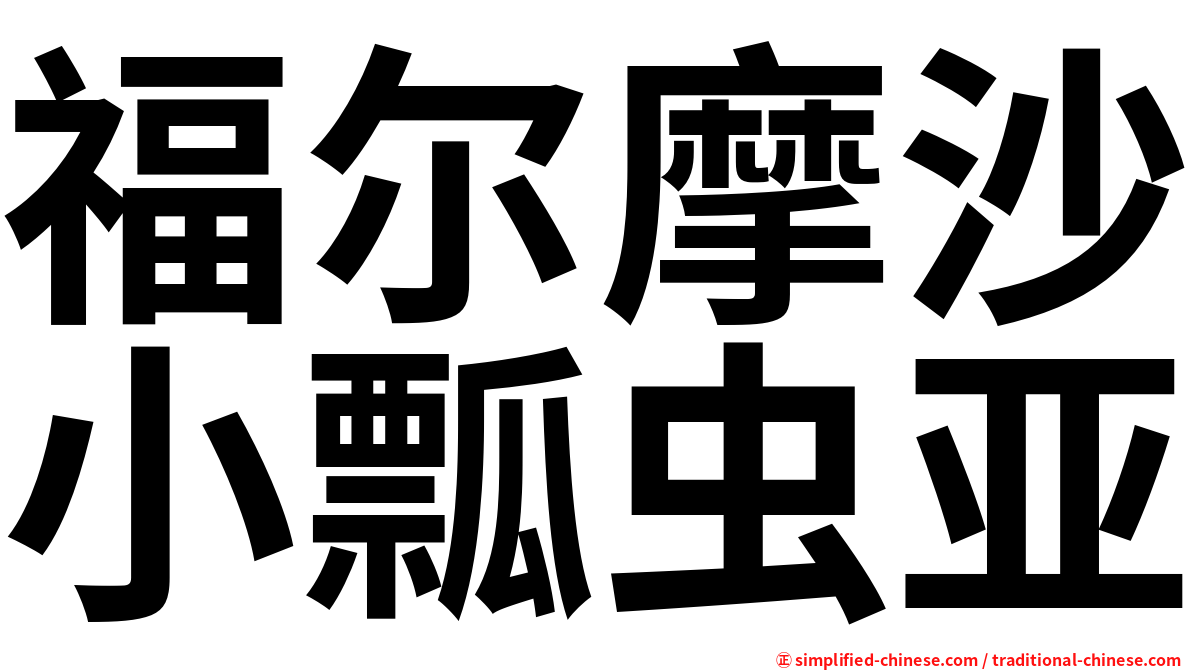 福尔摩沙小瓢虫亚