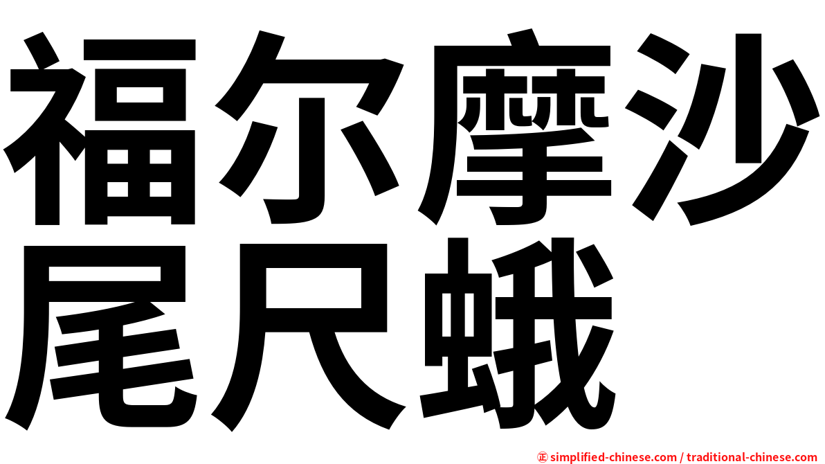 福尔摩沙尾尺蛾