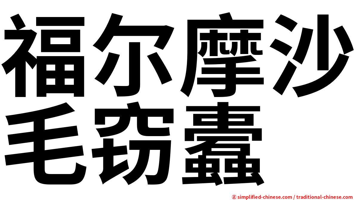 福尔摩沙毛窃蠹