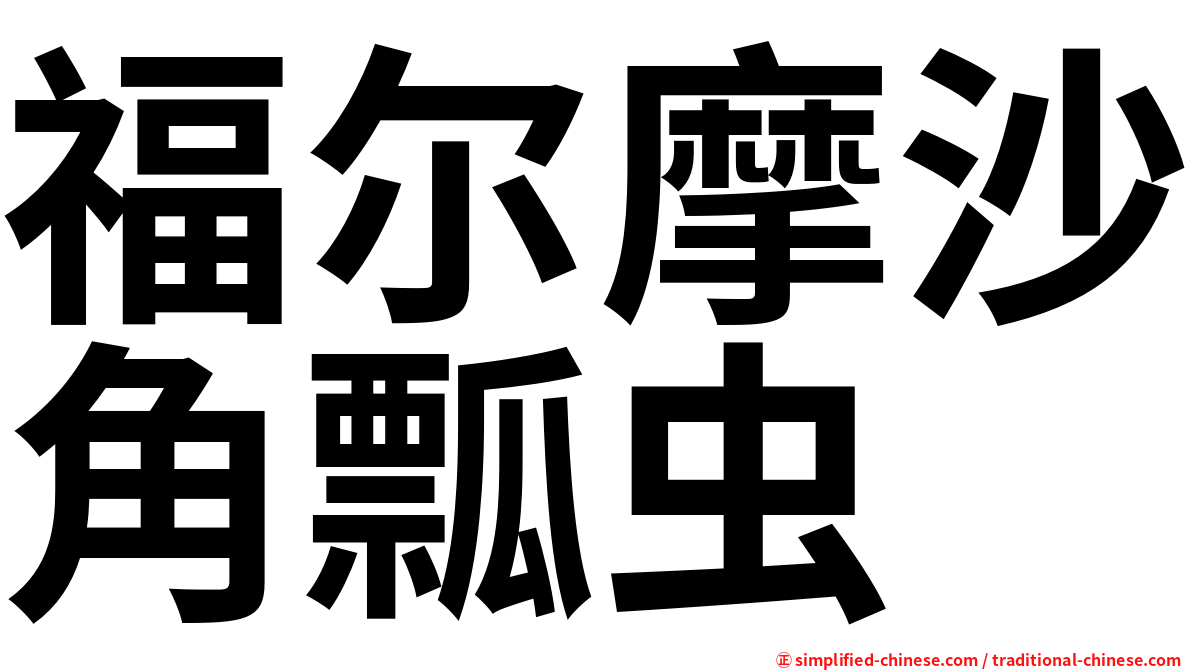 福尔摩沙角瓢虫