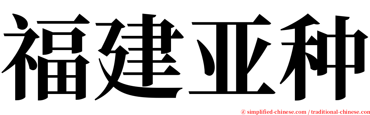 福建亚种 serif font
