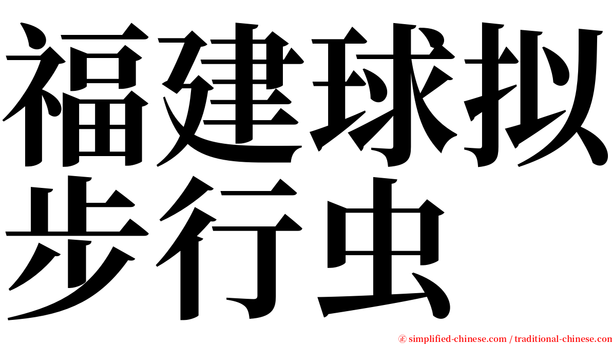 福建球拟步行虫 serif font