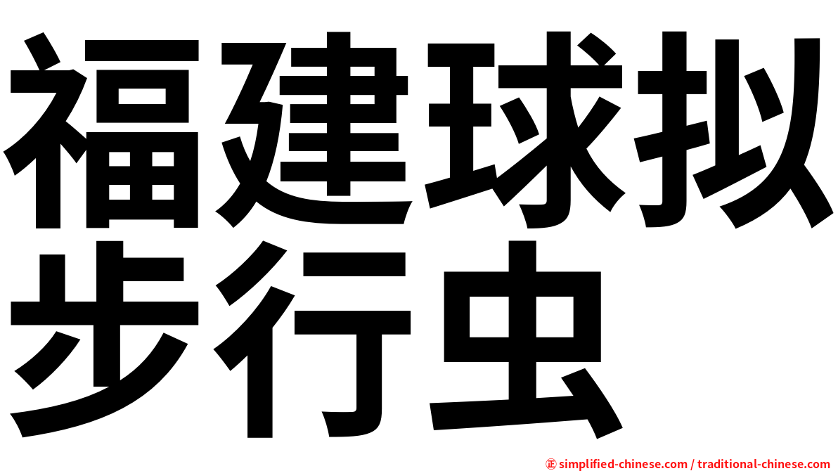 福建球拟步行虫