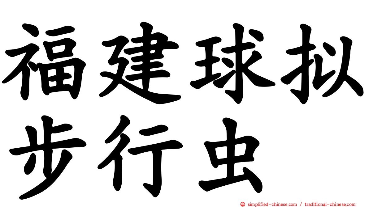 福建球拟步行虫