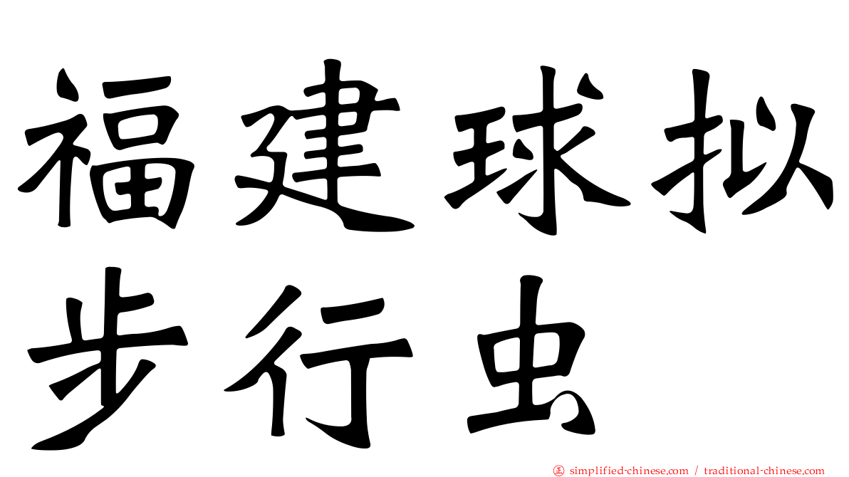 福建球拟步行虫