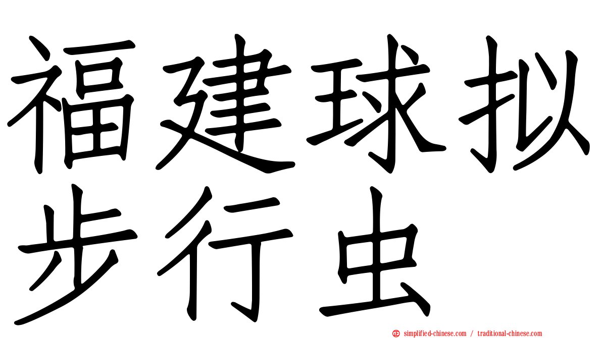 福建球拟步行虫