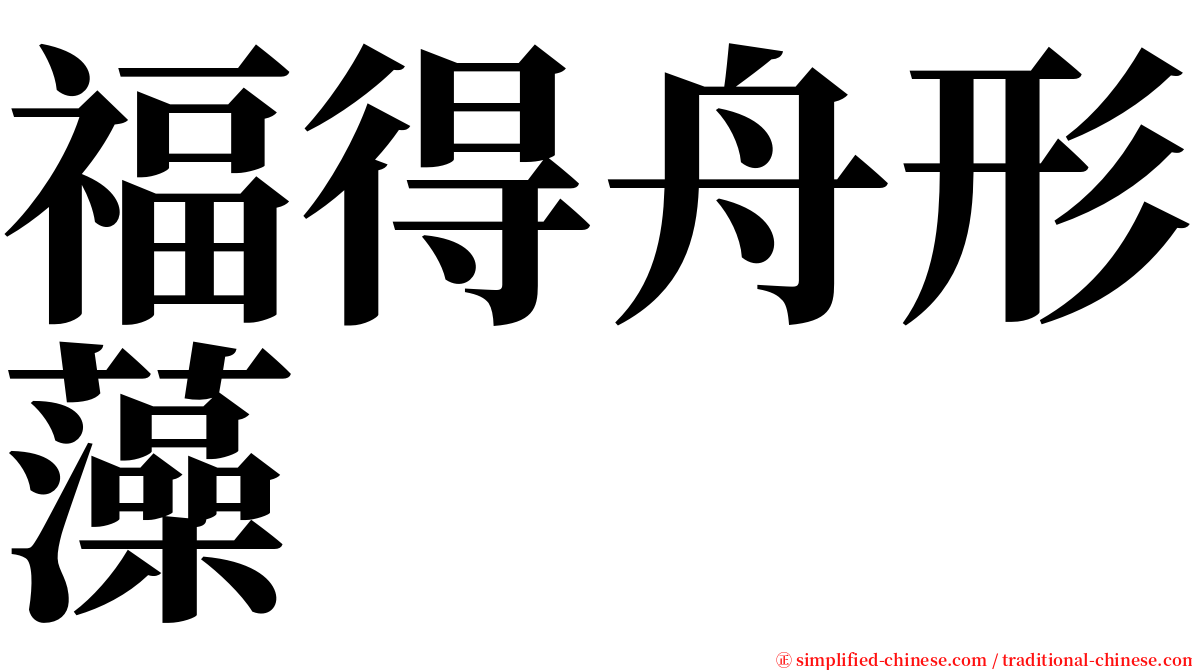 福得舟形藻 serif font
