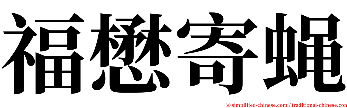 福懋寄蝇 serif font