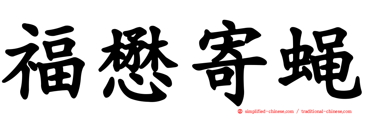 福懋寄蝇
