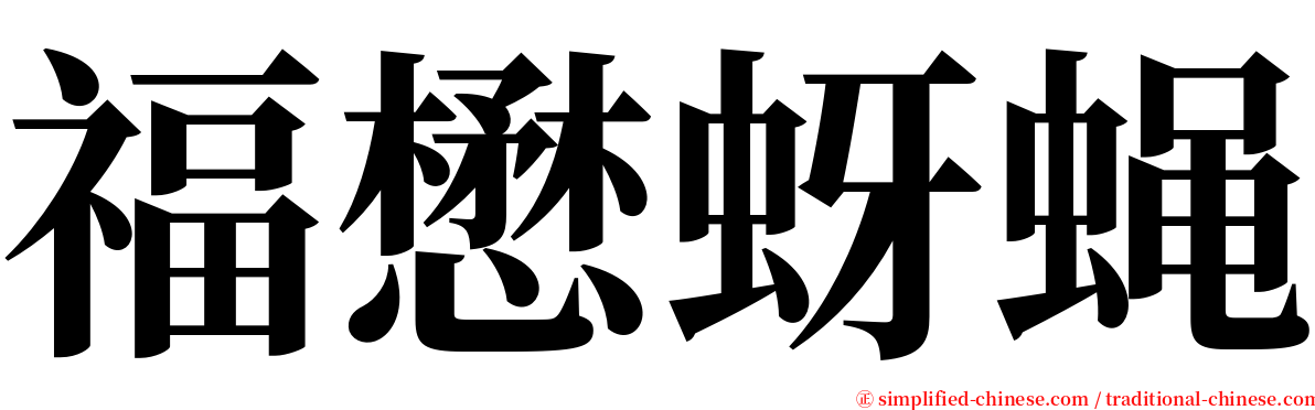 福懋蚜蝇 serif font