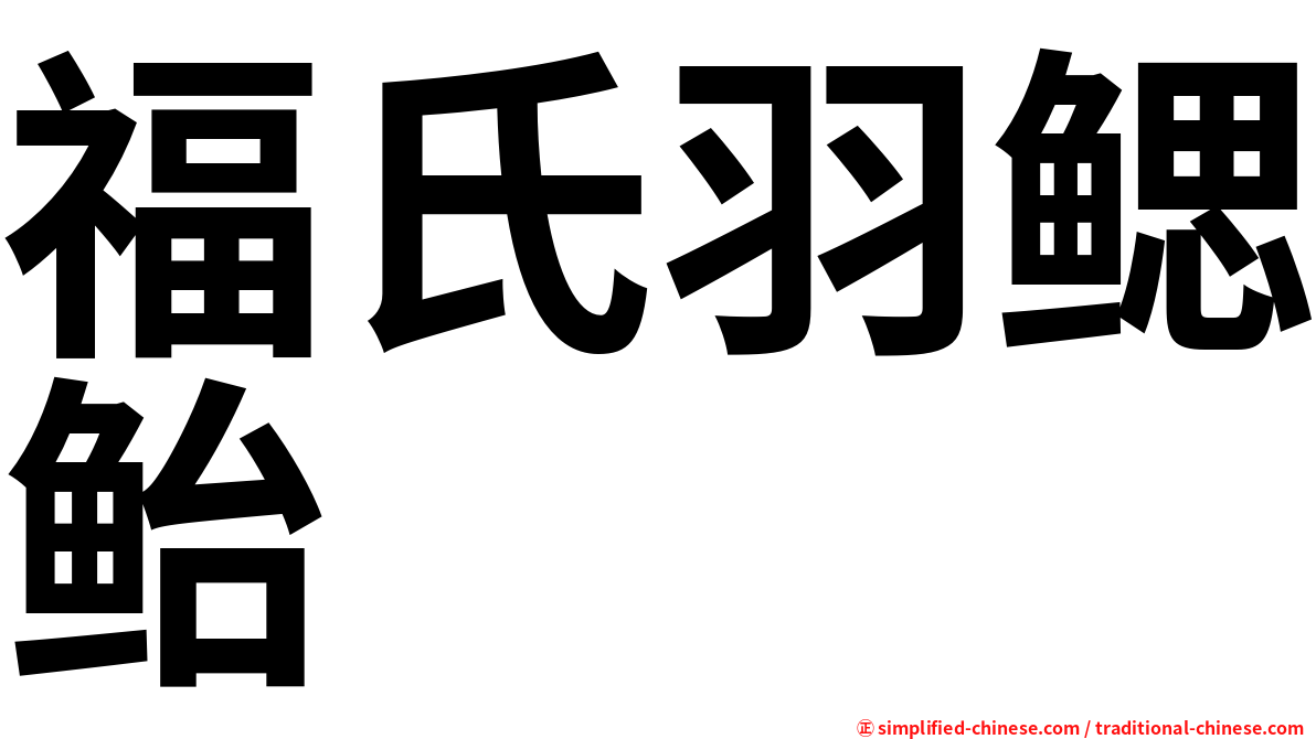 福氏羽鳃鲐