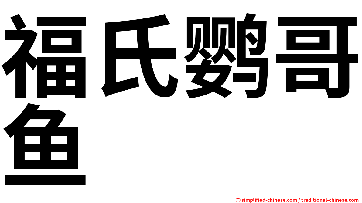 福氏鹦哥鱼