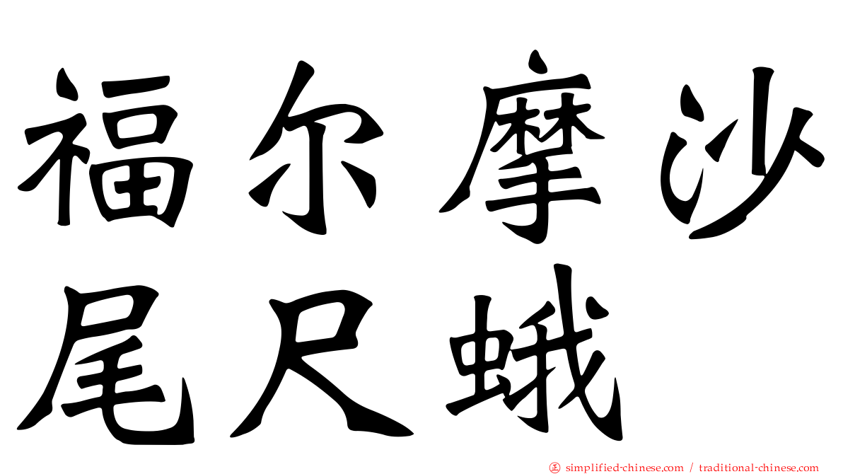 福尔摩沙尾尺蛾
