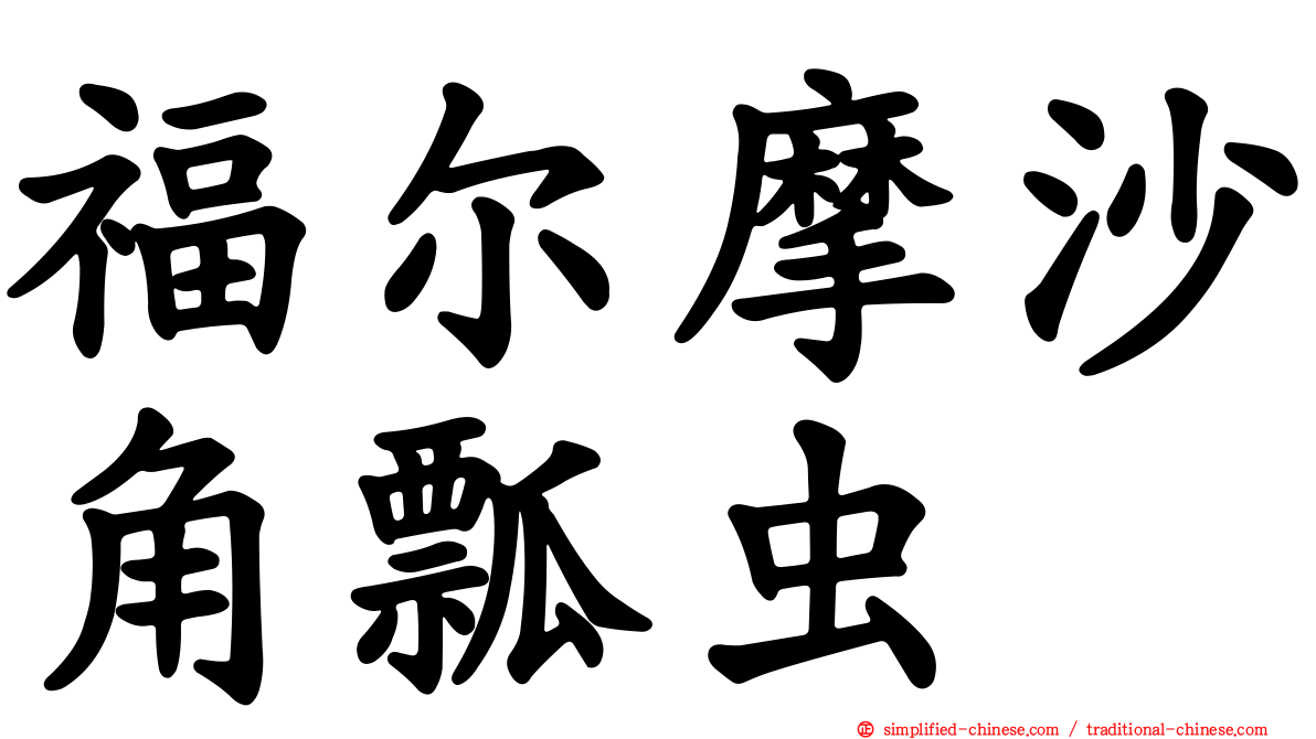 福尔摩沙角瓢虫