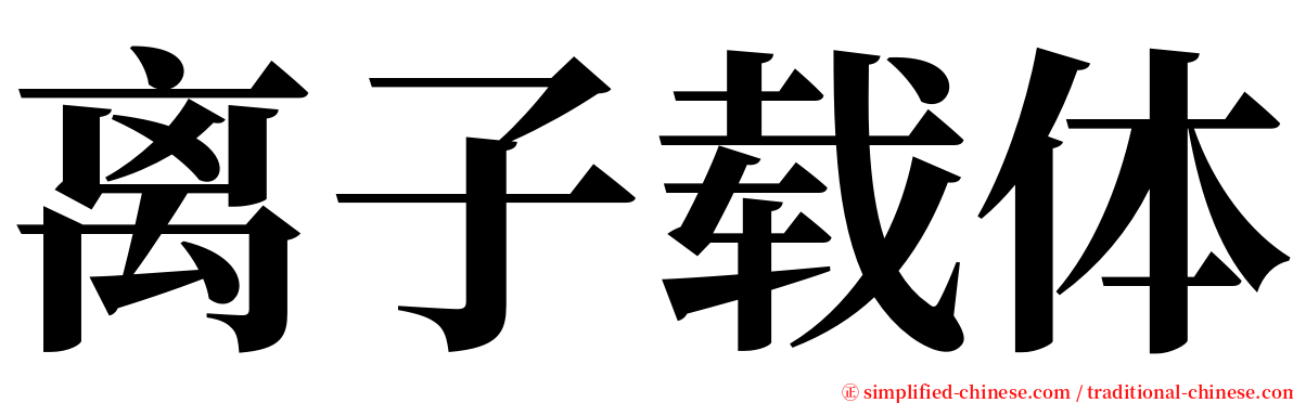 离子载体 serif font