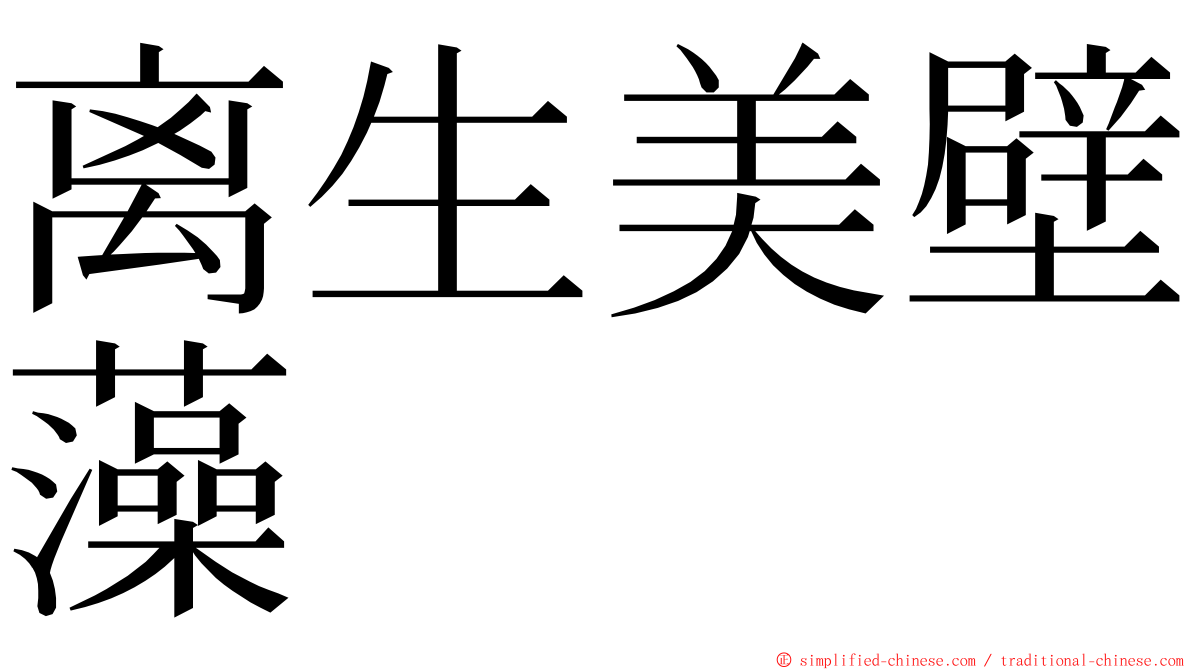 离生美壁藻 ming font