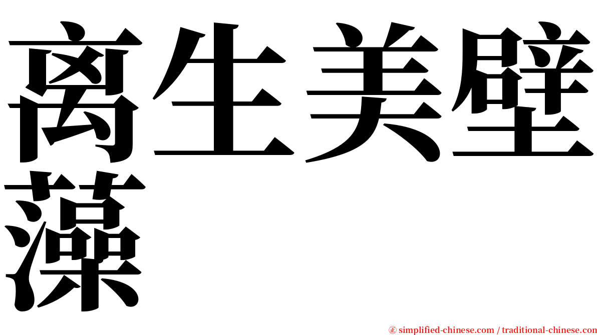 离生美壁藻 serif font