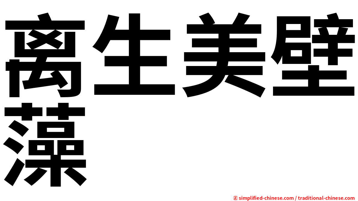 离生美壁藻