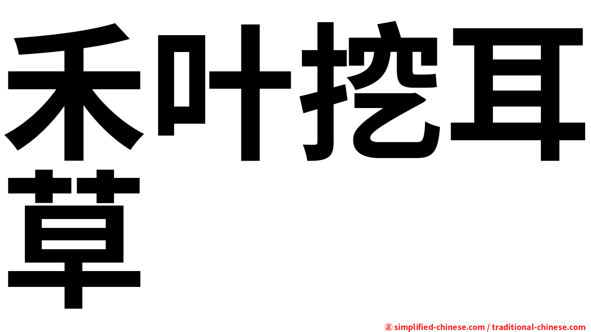 禾叶挖耳草