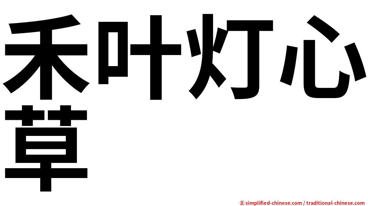 禾叶灯心草