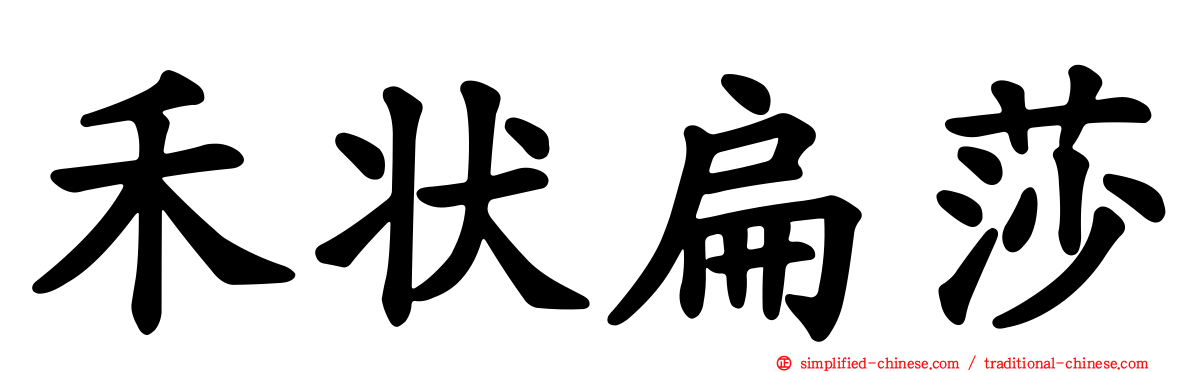 禾状扁莎