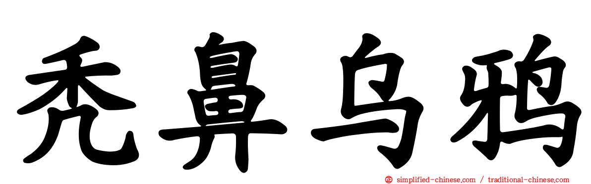 秃鼻乌鸦