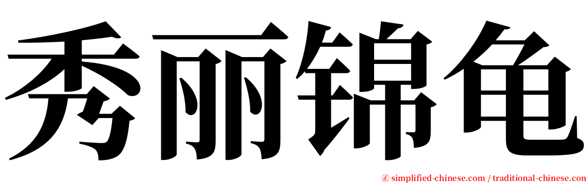 秀丽锦龟 serif font
