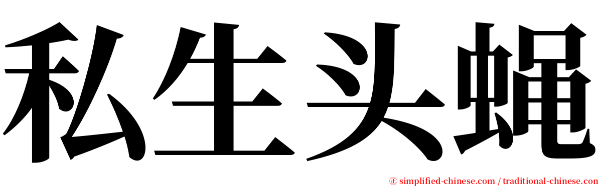 私生头蝇 serif font
