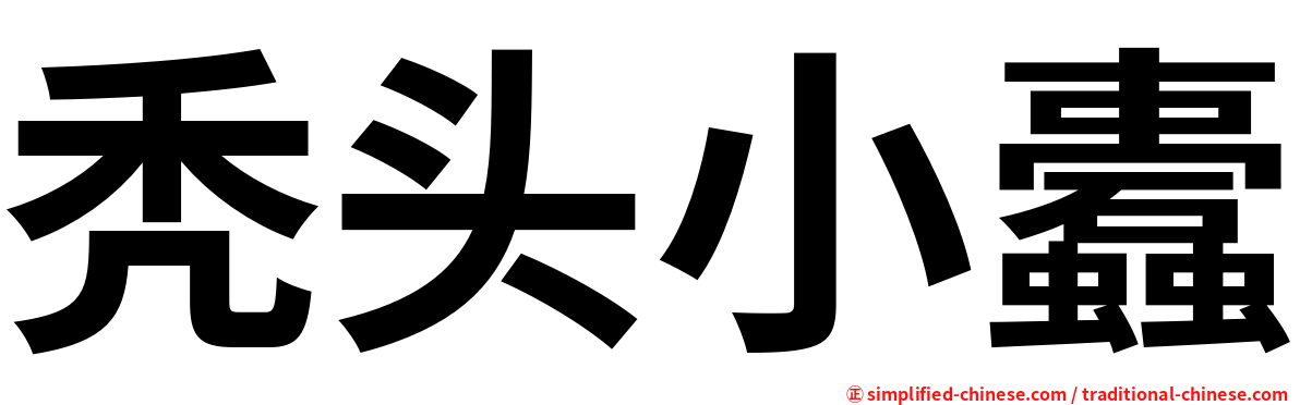 秃头小蠹
