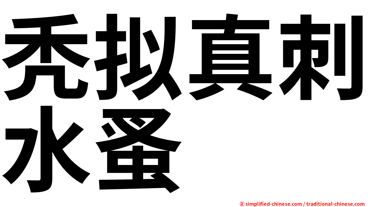 秃拟真刺水蚤