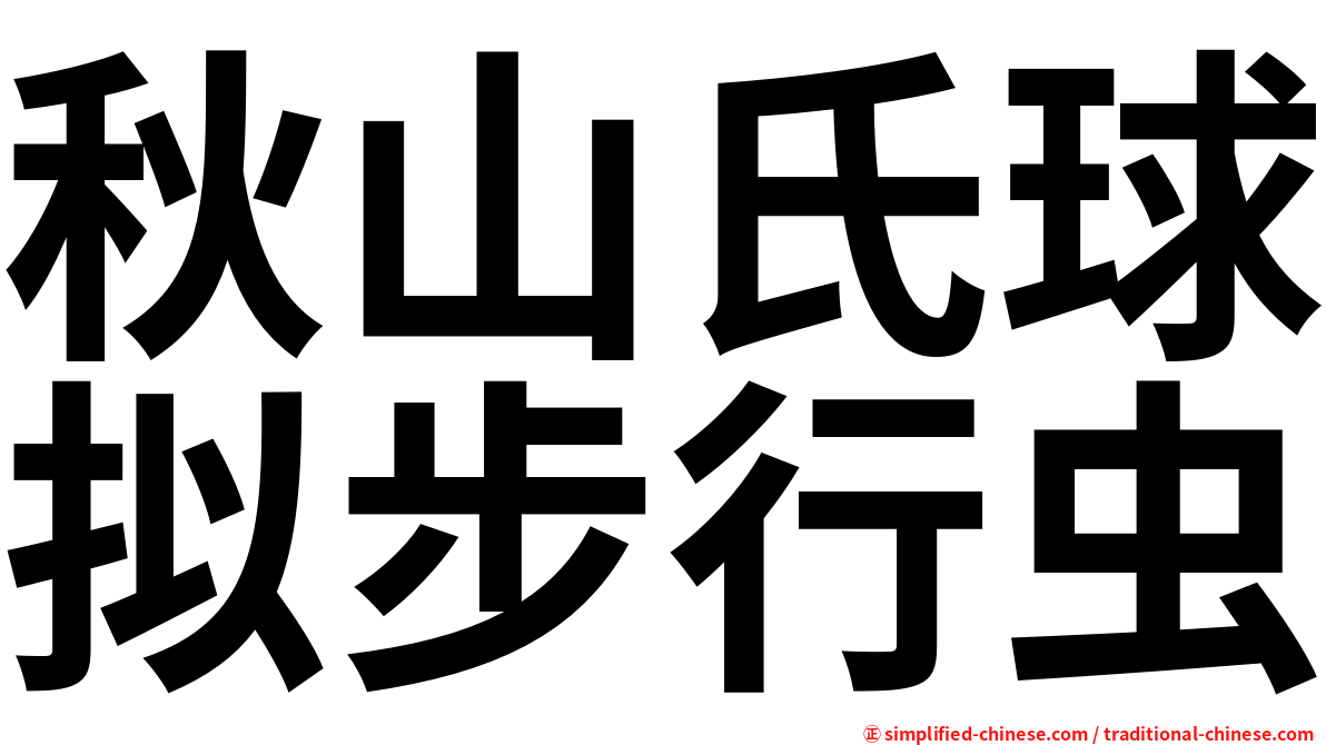 秋山氏球拟步行虫