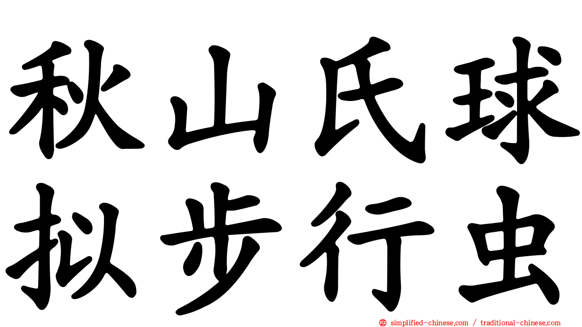 秋山氏球拟步行虫