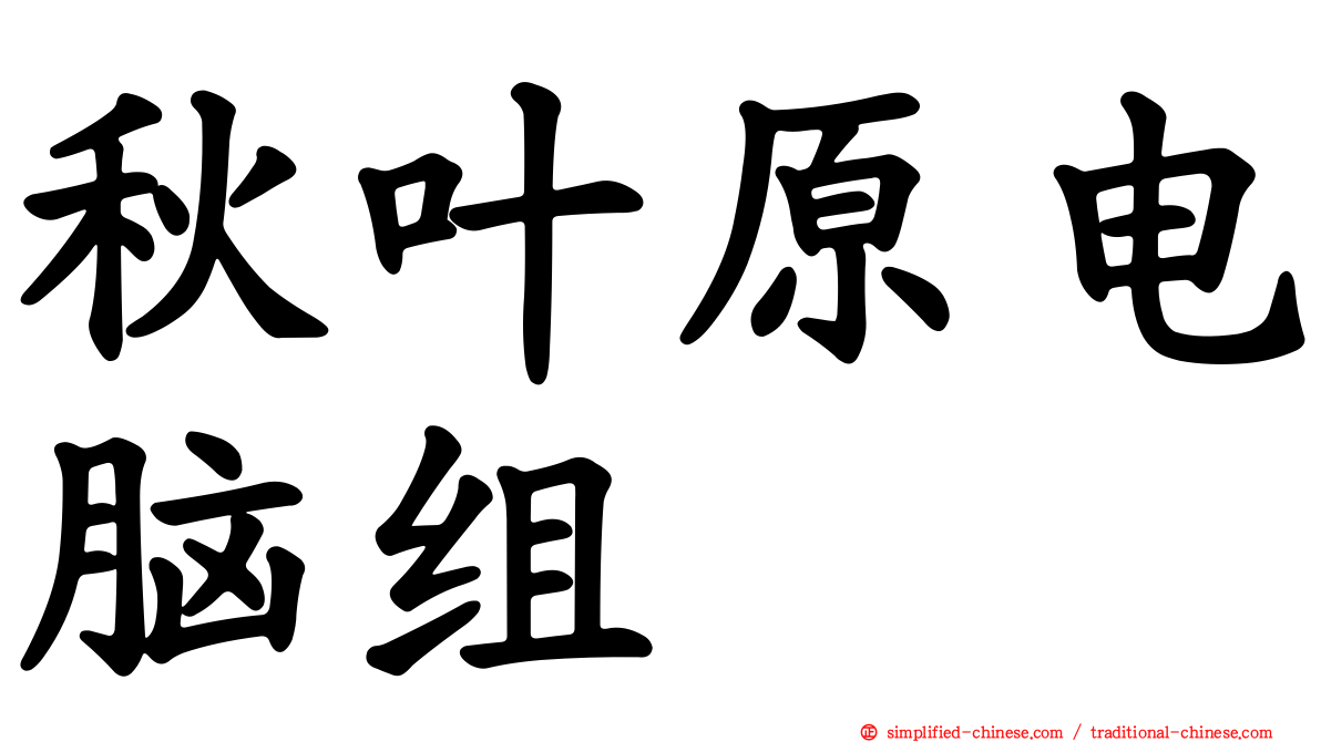 秋叶原电脑组