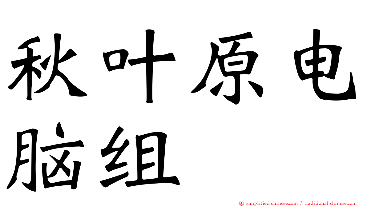 秋叶原电脑组