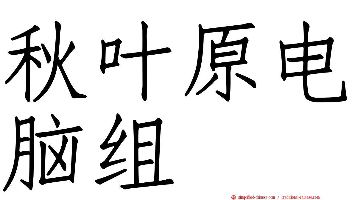 秋叶原电脑组