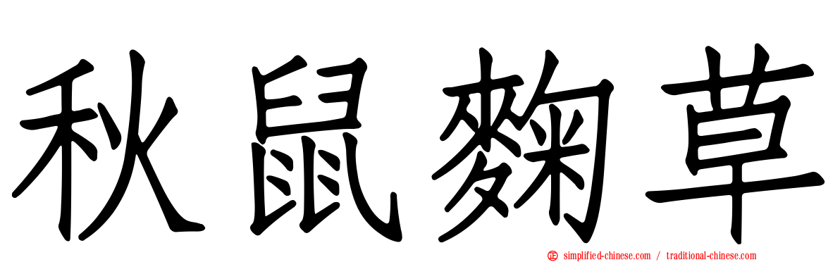 秋鼠麹草