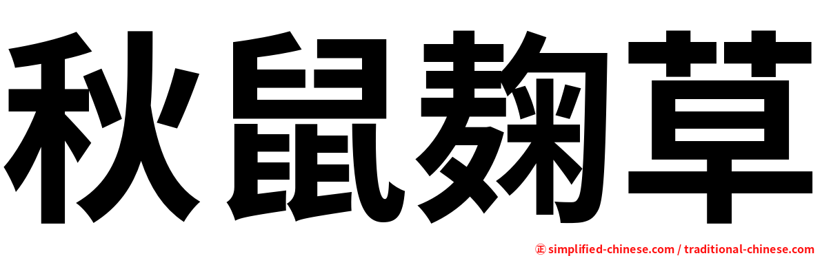 秋鼠麹草