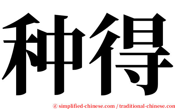 种得 serif font