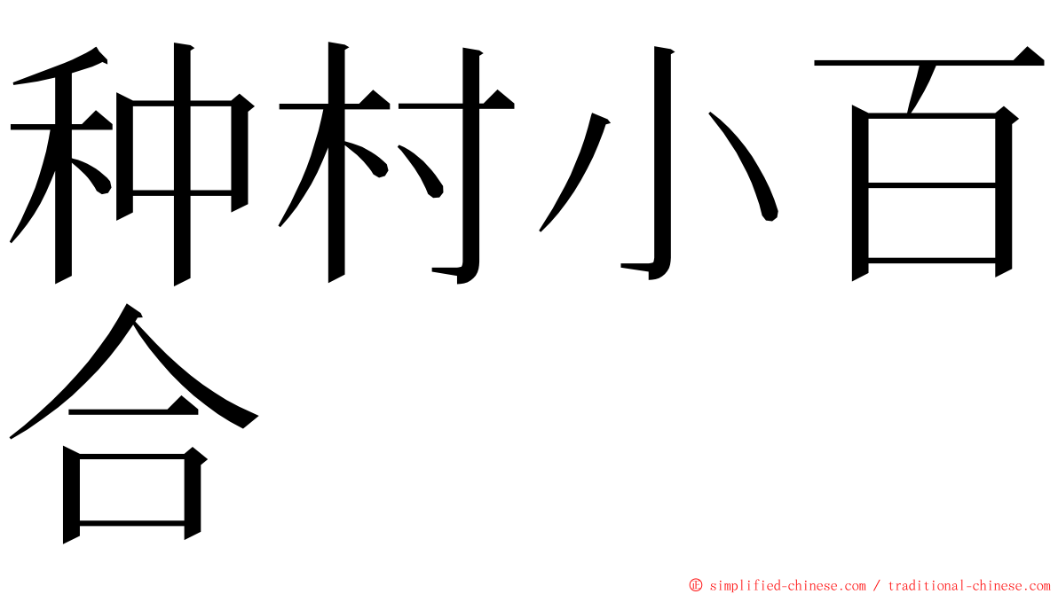 种村小百合 ming font