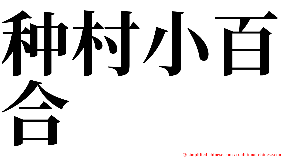 种村小百合 serif font